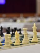 Toronto Chess Rapid 2026 Thumb